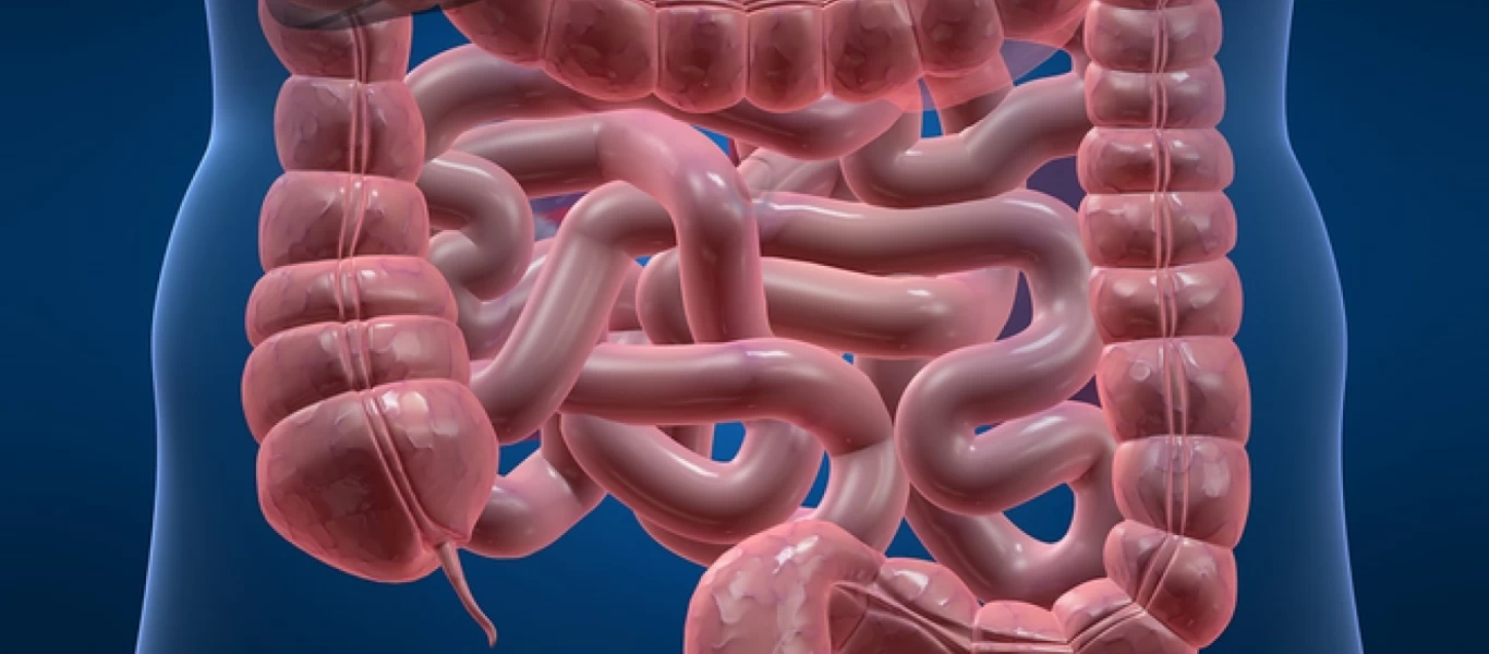 Προσοχή: Δείτε πως μπορείτε να καταλάβετε αν έχετε παράσιτα στο έντερό σας